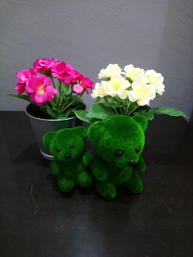 Jb Homestay Bukit Indah Wifi Ciq Mall Legoland Free Parking Johor Bahru Kültér fotó